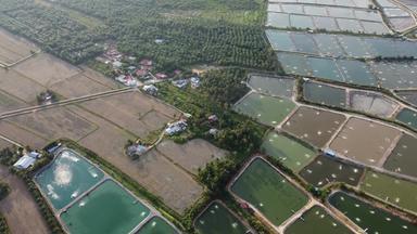 空中视图水产养殖鱼虾农场